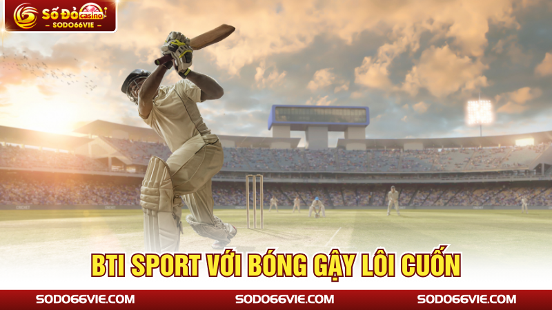BTI Sport với bóng gậy lôi cuốn