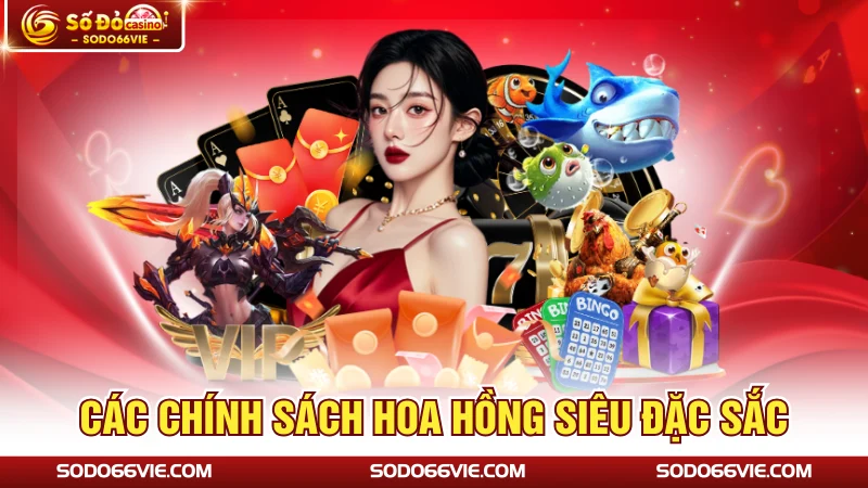 Các chính sách hoa hồng siêu đặc sắc