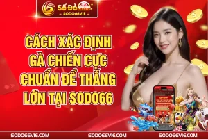 Cách Xác Định Gà Chiến Cực Chuẩn Để Thắng Lớn Tại SODO66