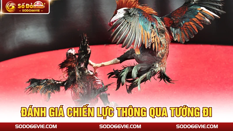 Đánh giá chiến lực thông qua tướng đi