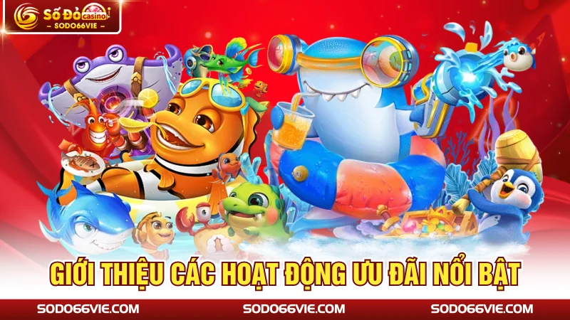 Giới thiệu các hoạt động ưu đãi nổi bật 