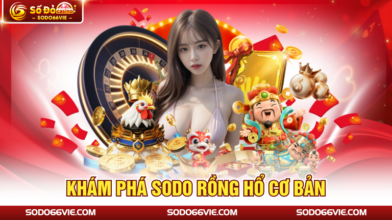 Khám phá SODO Rồng Hổ cơ bản