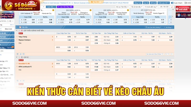 Kiến thức cần biết về kèo châu Âu