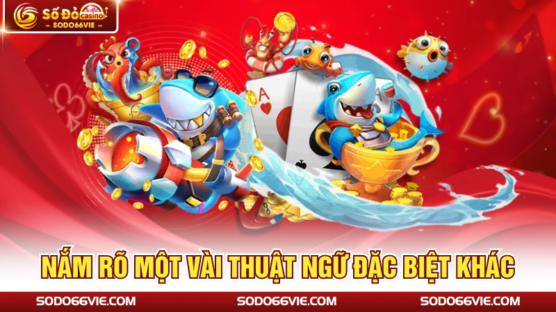 Nắm rõ một vài thuật ngữ đặc biệt khác
