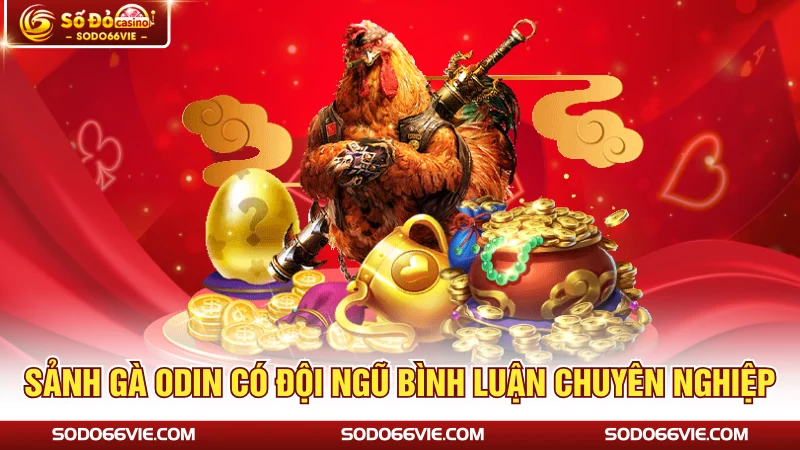 Sảnh gà ODIN có đội ngũ bình luận chuyên nghiệp