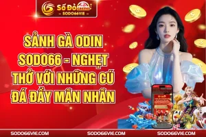 Sảnh Gà ODIN SODO66 - Nghẹt Thở Với Những Cú Đá Đầy Mãn Nhãn