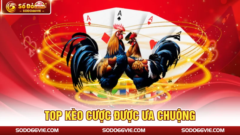 Top kèo cược được ưa chuộng